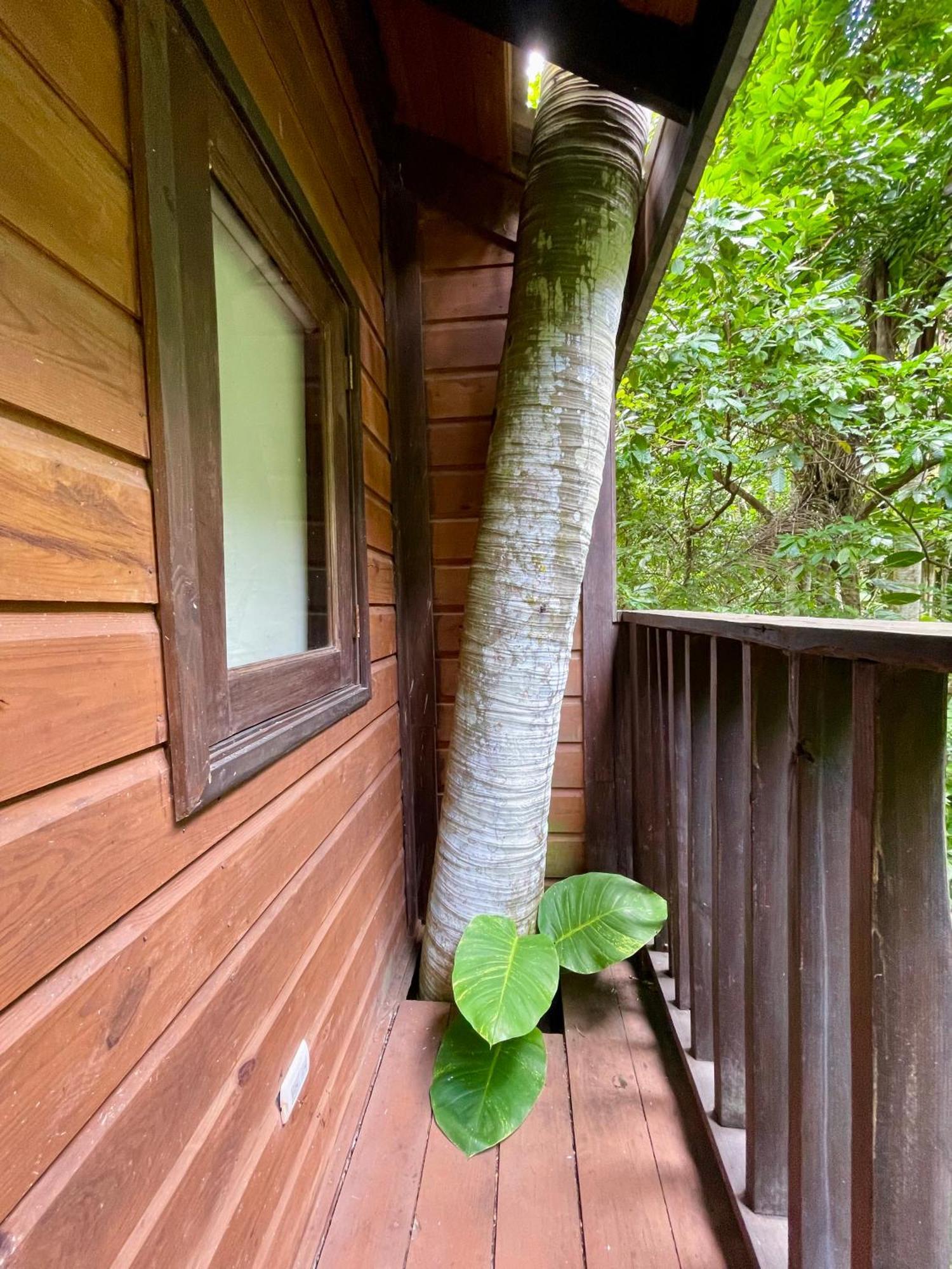 Platon Ecolodge Barahona Exteriér fotografie